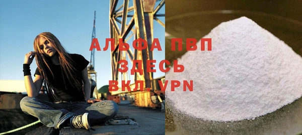 гидра Инта