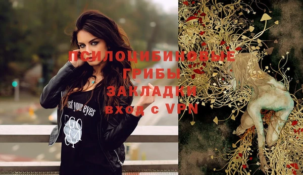 сатива Заволжье