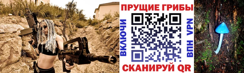 Псилоцибиновые грибы Psilocybine cubensis  Купить  Лермонтов 